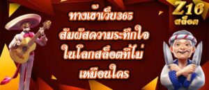 Z16 ทางเข้าเว็บ365